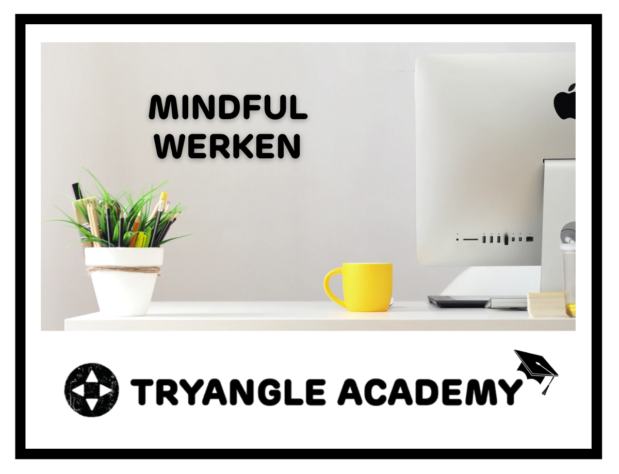 mindful werken